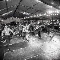 Michigan Irish Music Festival Goes Wild !